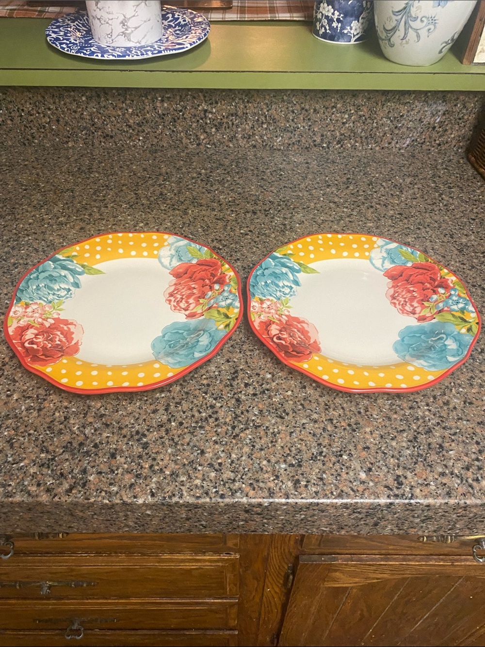 The Pioneer Woman Orange Polka Dot Floral Dinner Plates - Set of 2